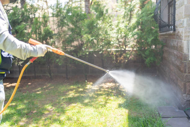 Spider Control Near Me in Oak Grove, MS